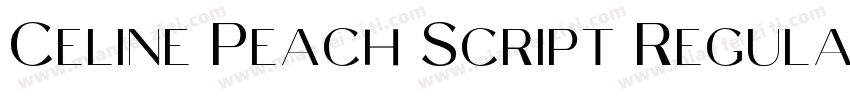 Celine Peach Script Regular字体转换